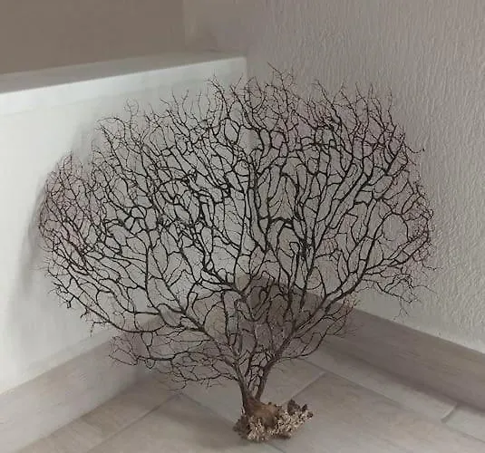 Sp μaisonette In Sithonia 度假居 *