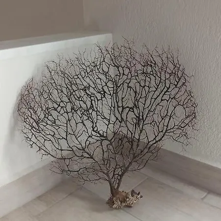 Sp μaisonette In Sithonia Nyaraló *