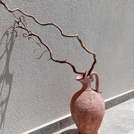 Sp μaisonette In Sithonia Nyaraló