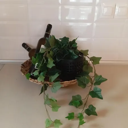 Sp μaisonette In Sithonia Nyaraló